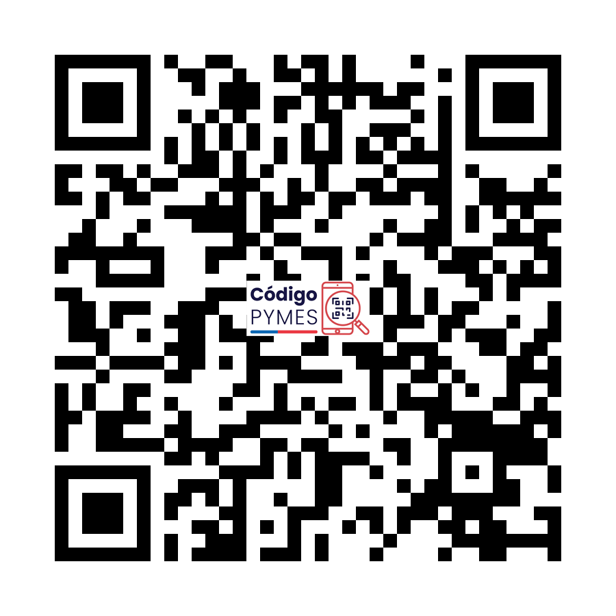 Registro de Pyme Carrasco y Reyes servicios Informaticos